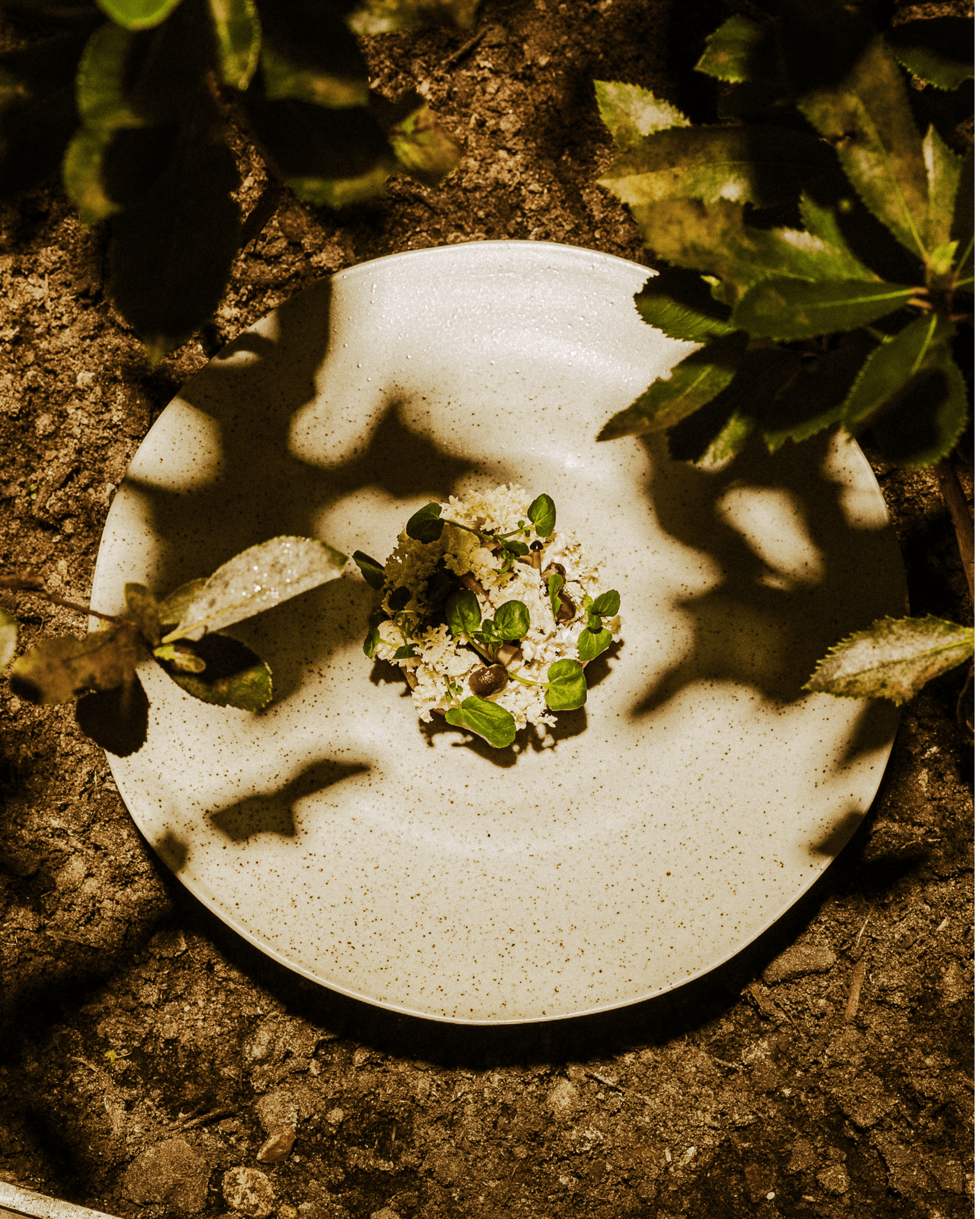 Assiette GRAINY, L - sable