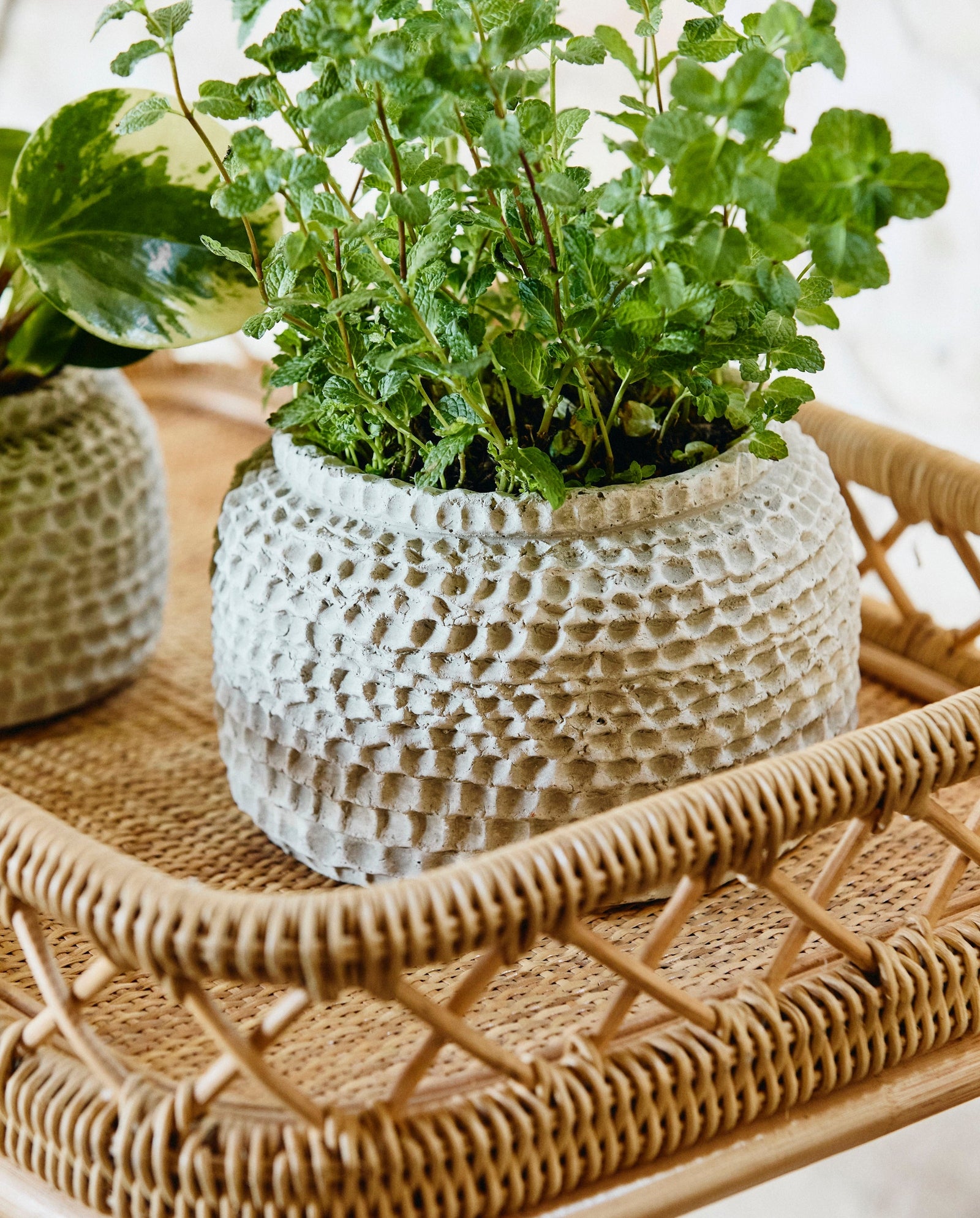 LIRI trolley - natural